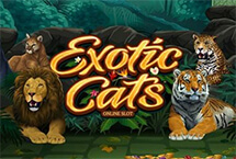 GK8tic Cats